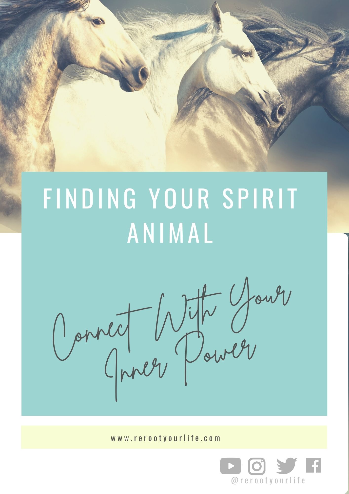 Finding your spirit animal Reroot your life